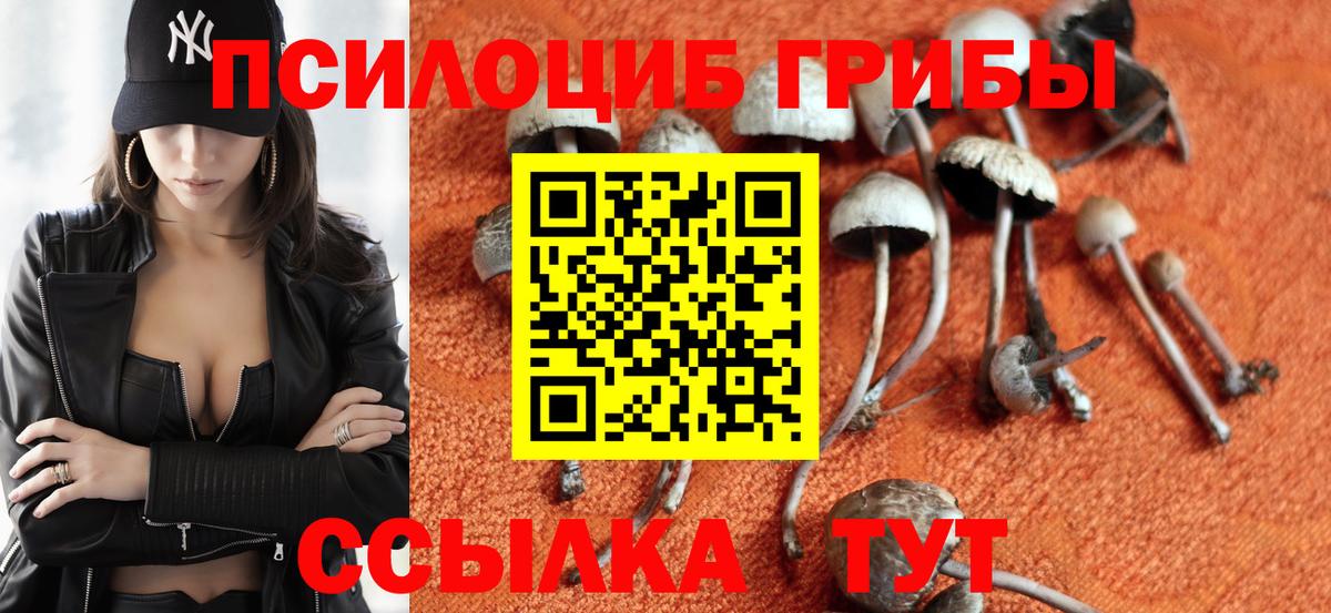 Кудрово  Галлюциногенные грибы Magic Shrooms  Псилоцибиновые грибы MAGIC MUSHROOMS  Вход с VPN 