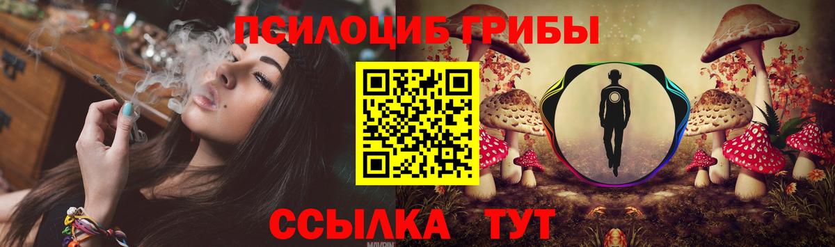 Псилоцибиновые грибы Magic Shrooms Кудрово